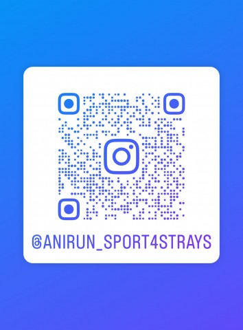 anirun-2024